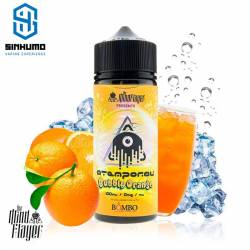 Atemporal Bubbly Orange 100ml By The Mind Flayer & Bombo